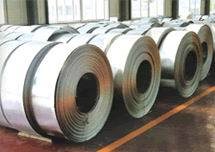 廣東南方鋼板集團(tuán)_世界工廠網(wǎng)全球企業(yè)庫(kù)